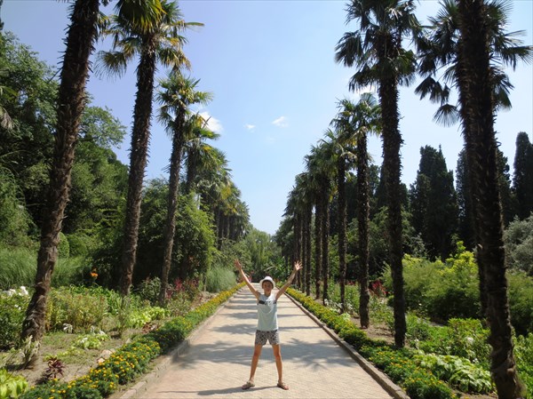 Никитский ботанический сад, пальмовая аллея